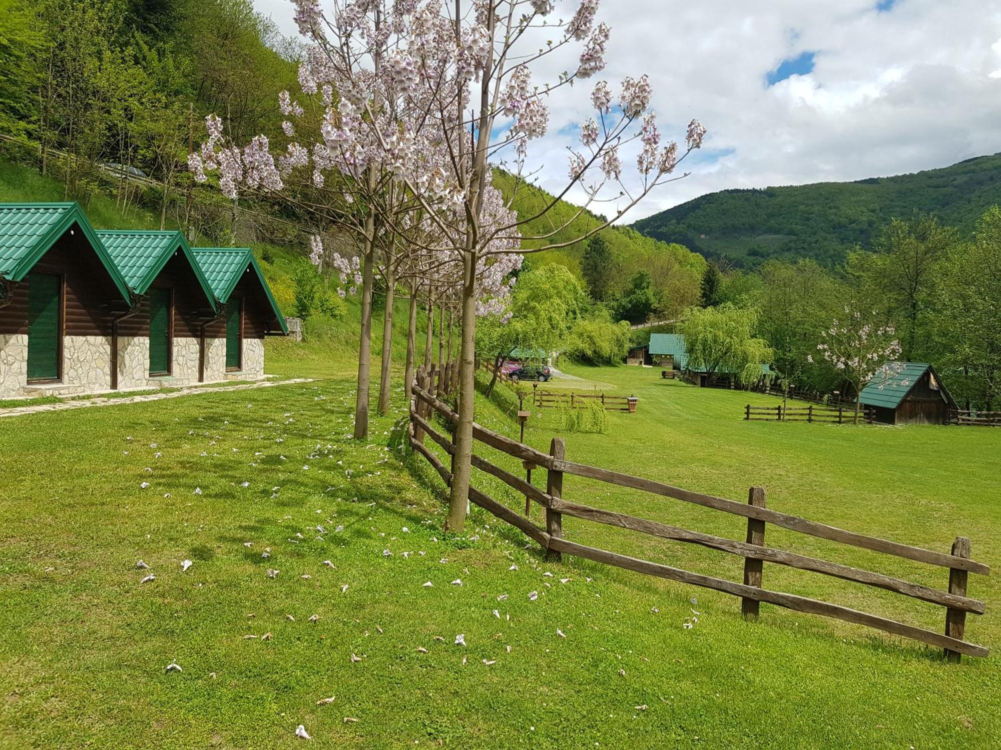 Camping Drina Foca Luaran gambar